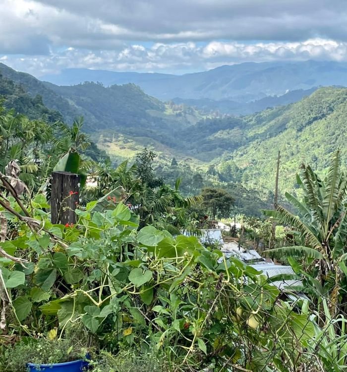 GUATEMALA – CHIMALLI - Los Hernandes – Image 4